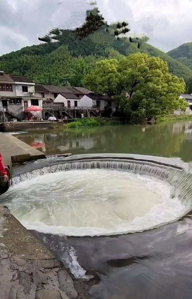 现在干什么赚钱（些不良商家发现，被巧妙地撬走）