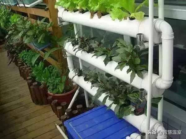 无土种植（有机生态型无土栽培技术）