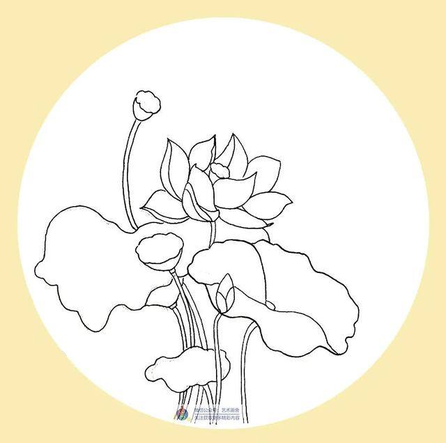 草怎么画简单又漂亮（水彩荷花的创作方法）