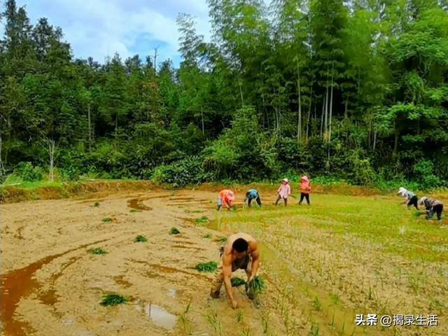 抚州汪云辉在上海做什么生意（汪聪慧，一亩地，他的生活故事）