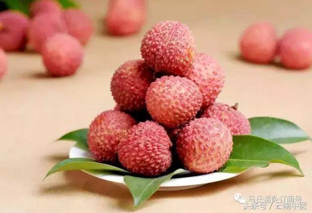 什么补气效果最快最好（补血食物排行榜）