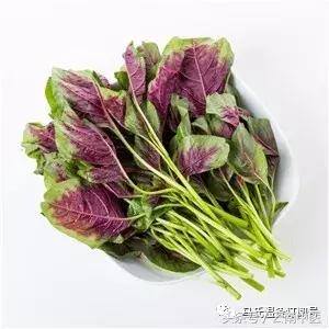 什么补气效果最快最好（补血食物排行榜）