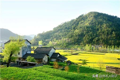 农村适合开什么店（农村做什么生意好挣钱？这几个挣钱的生意值得一试！）