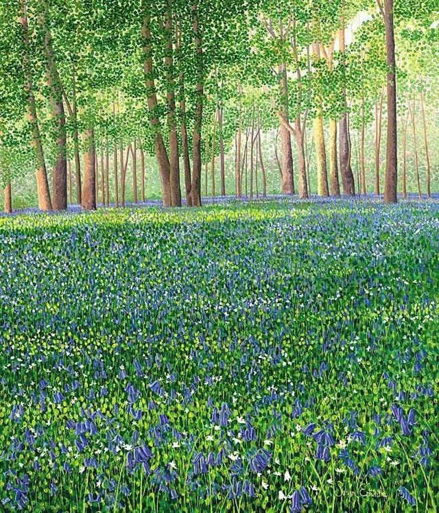画画怎么赚钱（点彩画家susanentwistle，一个自学成才的艺术家）
