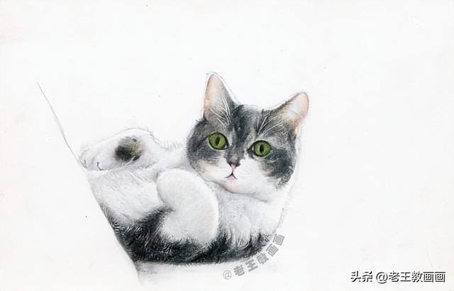 猫咪怎么画才好看又可爱（彩铅猫咪，看似不言不语，实则一直给你最长情的陪伴）