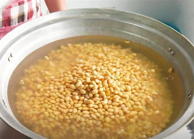 家庭自制豆豉简单做法（教你用黄豆做豆豉，酱香浓郁超美味，拌什么都好吃，放一年都不坏）