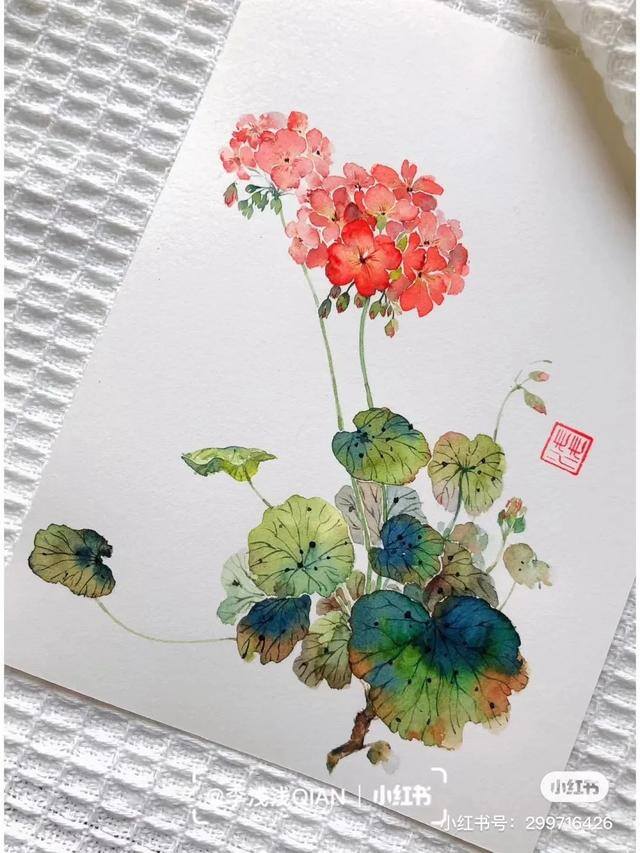 花朵怎么画最漂亮（中国风水彩花卉插画｜李浅浅qian）