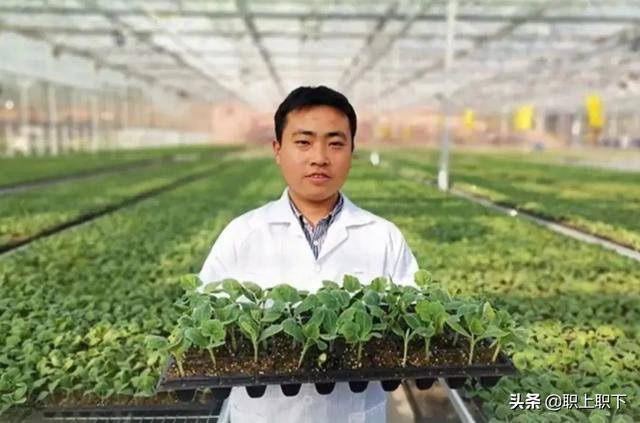 在农村做什么生意最赚钱最长远（工农业“剪刀差倒挂”是如何形成的？）