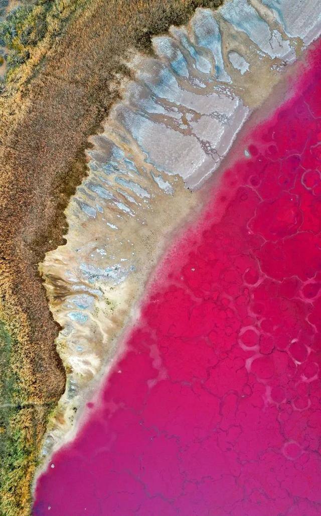努力赚钱的图片（一个人漫山遍野是为了什么？）
