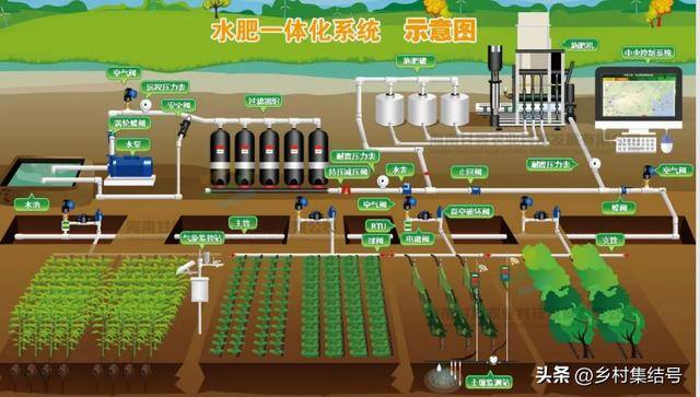 新型农业项目有哪些（新型农业种植技术）