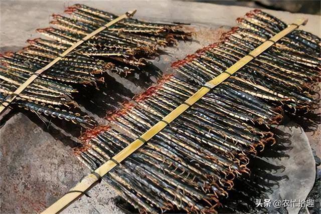 养殖蜈蚣蝎子怎么样（蜈蚣的价格越来越高，一只能卖到3.7元）