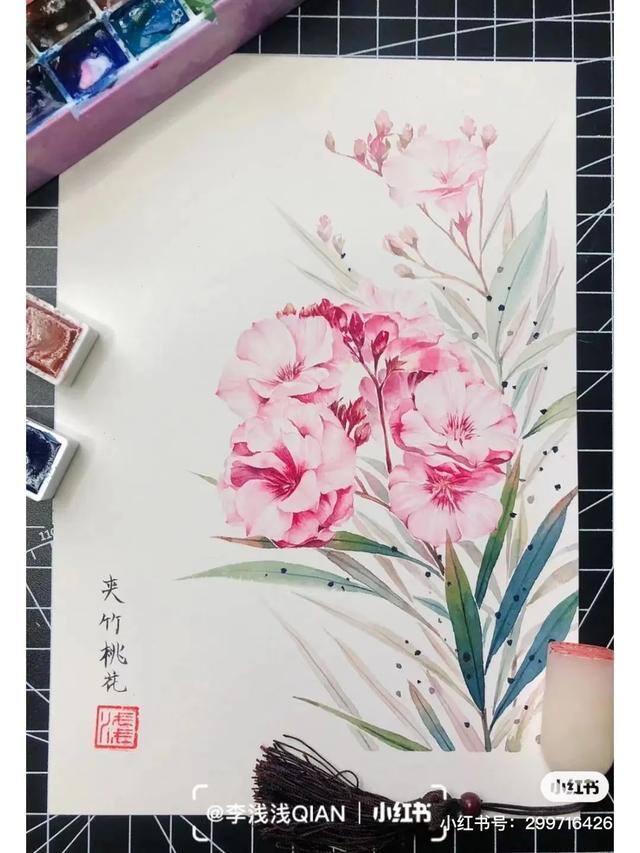 花朵怎么画最漂亮（中国风水彩花卉插画｜李浅浅qian）