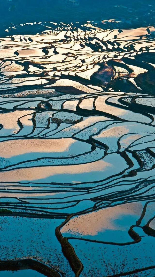 努力赚钱的图片（一个人漫山遍野是为了什么？）
