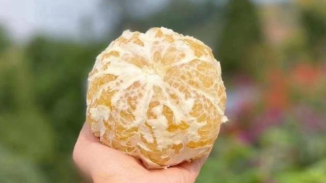 我的水果店真的能赚钱吗（开水果店怎么赚钱）