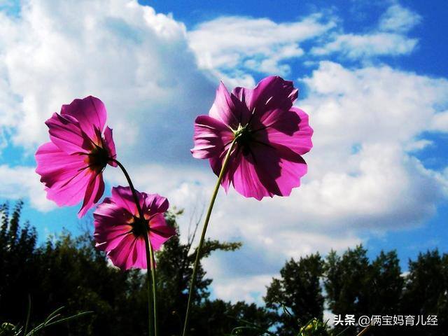 宝妈微信名字简单气质（妈妈给宝宝取名的几个“坑”大众化）