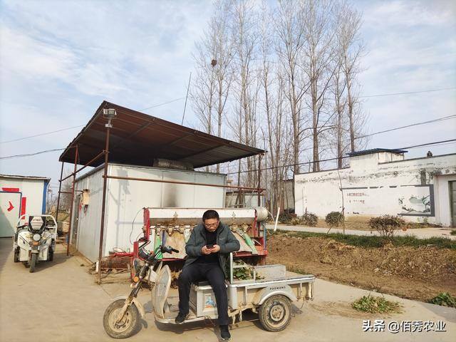 未来五年种植什么赚钱（邻居退出农业种植，为啥赚钱的邻居却打“退堂鼓”？）