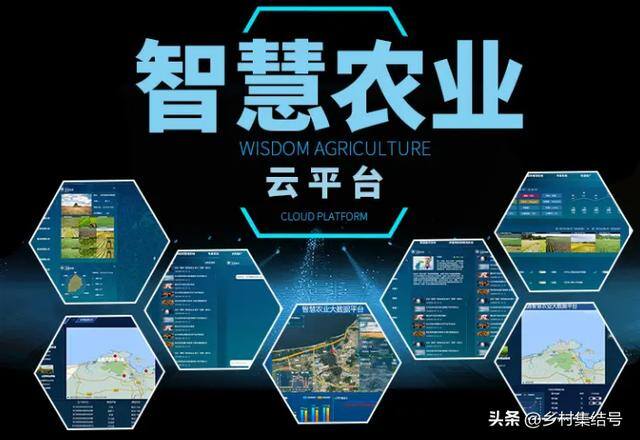 新型农业项目有哪些（新型农业种植技术）
