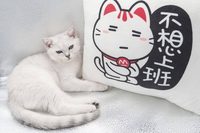 不想去上班找什么理由（不想上班的我们怎么了？）