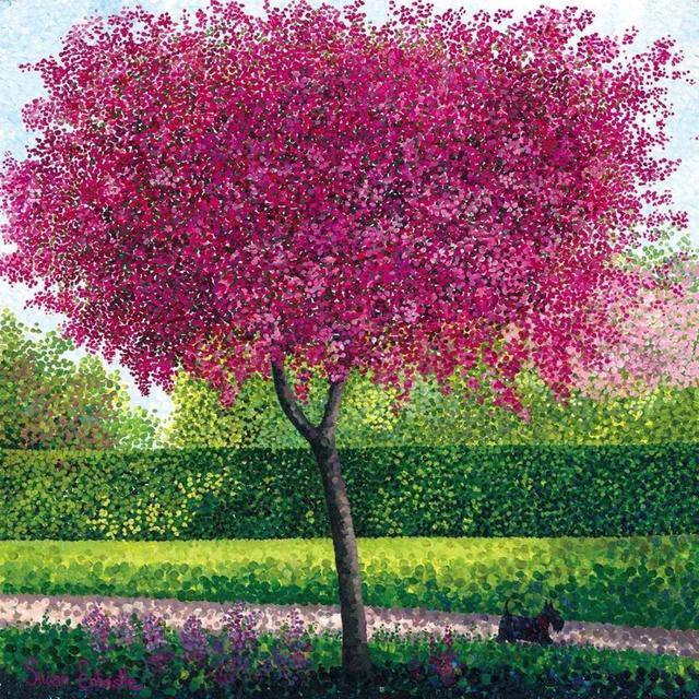 画画怎么赚钱（点彩画家susanentwistle，一个自学成才的艺术家）