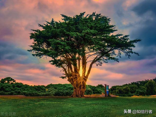 如何赚钱最快最安全（普通人赚钱的核心本质是什么？）