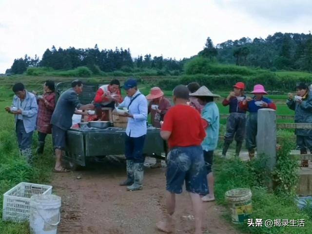 抚州汪云辉在上海做什么生意（汪聪慧，一亩地，他的生活故事）