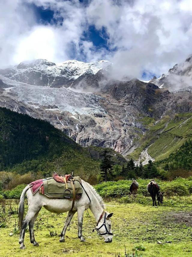 努力赚钱的图片（一个人漫山遍野是为了什么？）