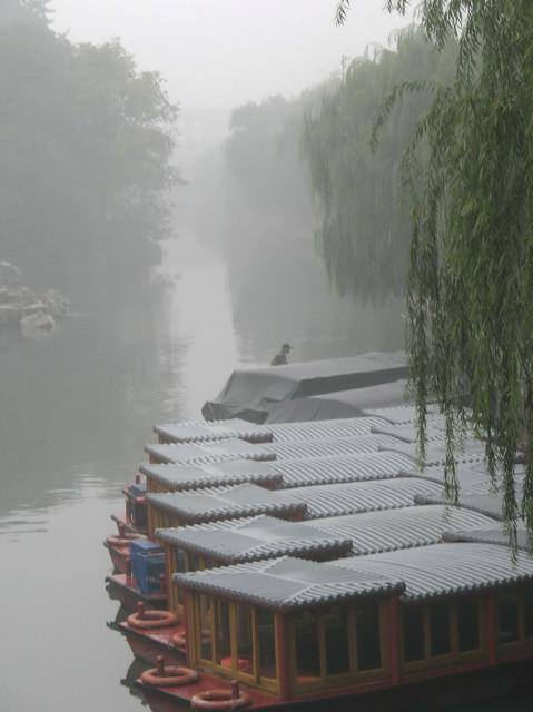 好听的五字网名（“坐看云起时”）