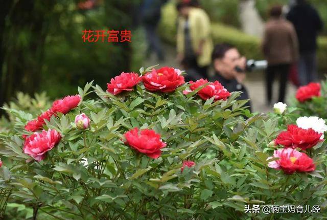 宝妈微信名字简单气质（妈妈给宝宝取名的几个“坑”大众化）