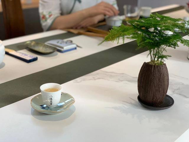 现在开茶叶店挣钱吗（武夷山的茶文化）