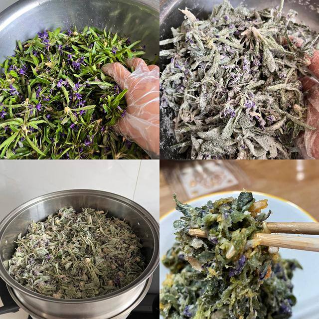 农村常见中草药300种（春天吃什么野菜？）