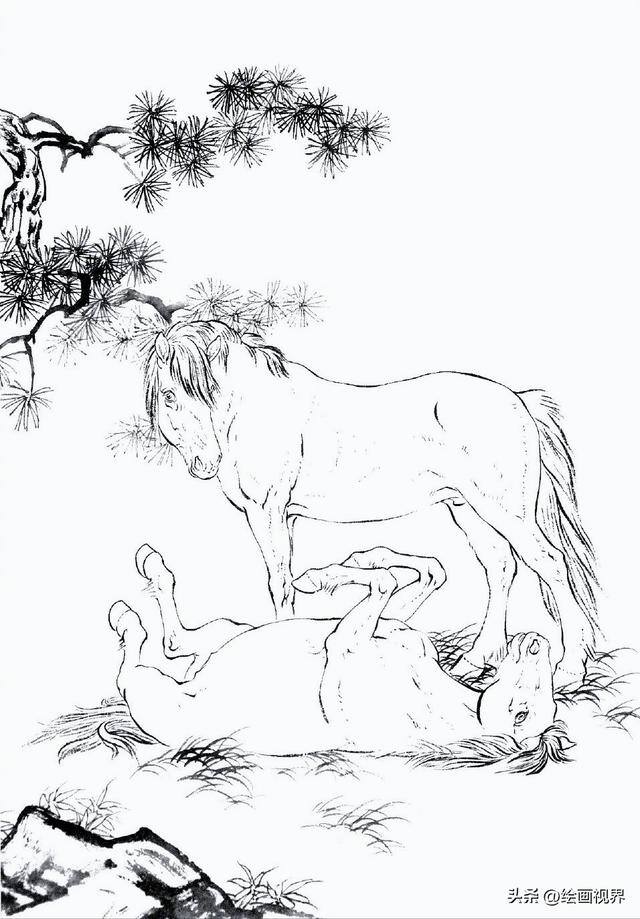 怎么画画既好看又简单（初学者怎么画马的白描线稿）