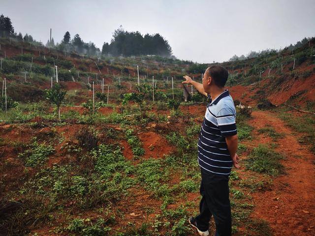 没本钱找个合伙人养牛（林海：返乡创业，如何找合伙人？）