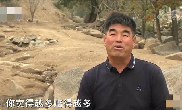 承包1000亩土地种粮食赚钱吗（农村小伙卖黑猪肉，10天卖出20多头猪）