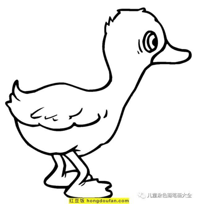 关于夏天的画简单好看（《我的世界》电影海报鸭子着色页）