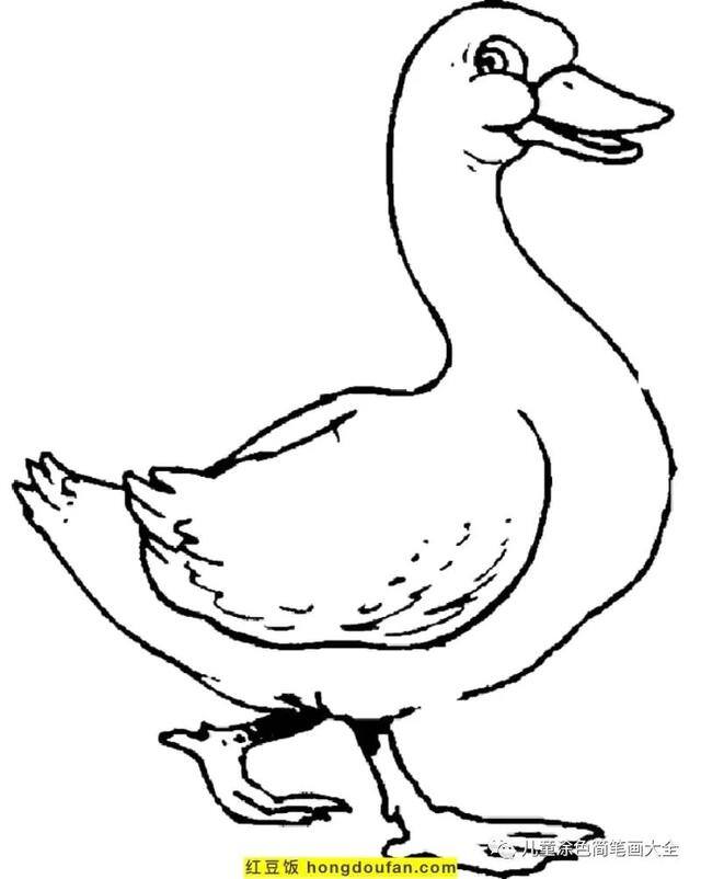 关于夏天的画简单好看（《我的世界》电影海报鸭子着色页）