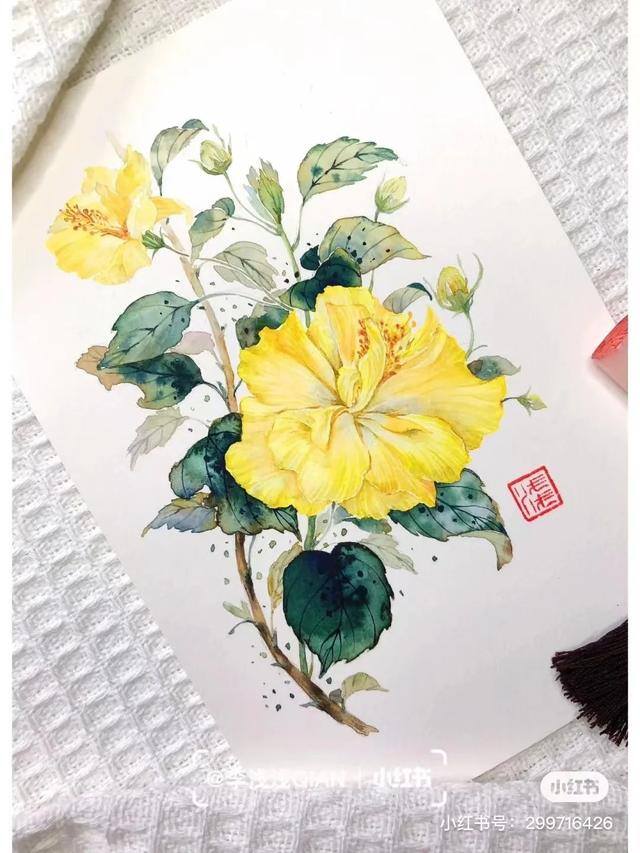 花朵怎么画最漂亮（中国风水彩花卉插画｜李浅浅qian）