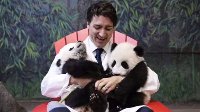 去哪个国家打工最挣钱比较安全（中国租借大熊猫的方式）