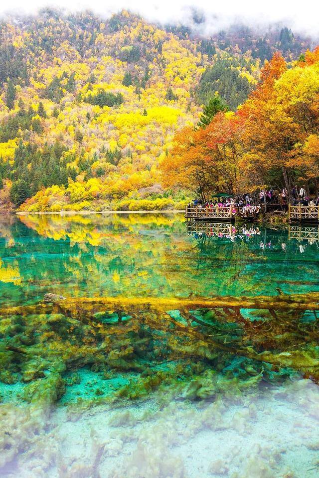 努力赚钱的图片（一个人漫山遍野是为了什么？）