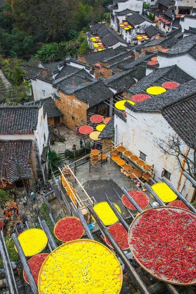 努力赚钱的图片（一个人漫山遍野是为了什么？）