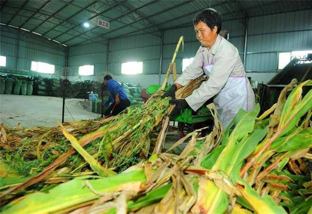 适合办厂的小项目（农村办个小工厂，有哪些项目投资少、见效快、发展前景比较好？）