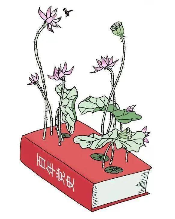 清廉的绘画作品大全（襄阳市第二届“清廉文化”漫画作品线上展览）