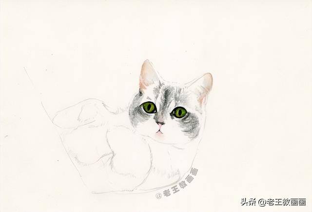 猫咪怎么画才好看又可爱（彩铅猫咪，看似不言不语，实则一直给你最长情的陪伴）