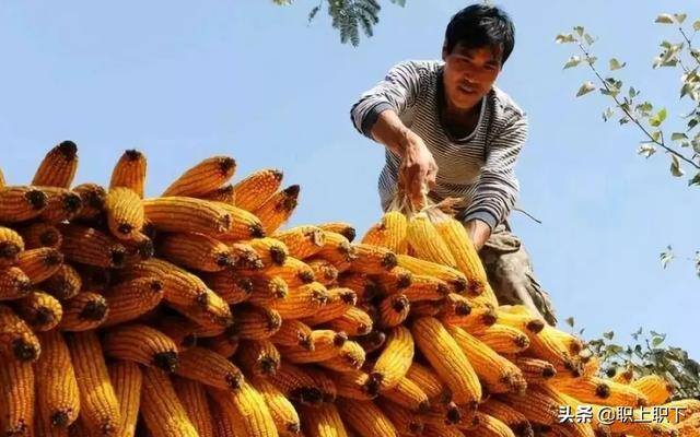 在农村做什么生意最赚钱最长远（工农业“剪刀差倒挂”是如何形成的？）
