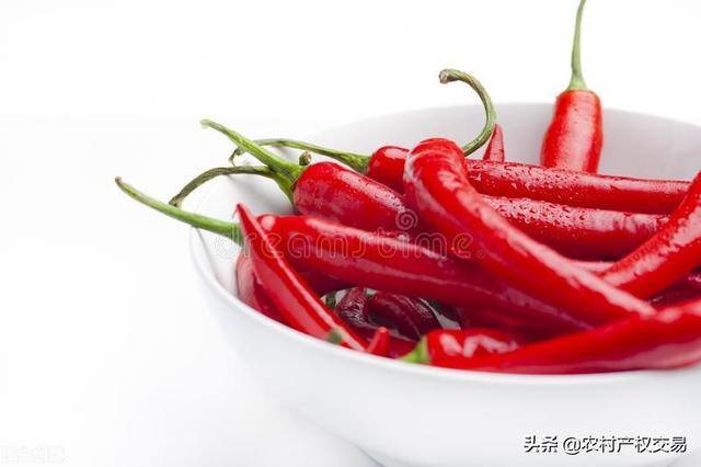 适合家庭办厂的项目（小投资办厂项目有哪些？这4个项目不愁销路！）