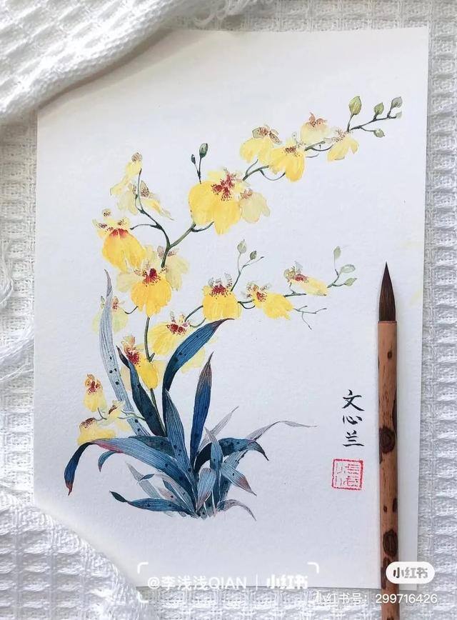 花朵怎么画最漂亮（中国风水彩花卉插画｜李浅浅qian）