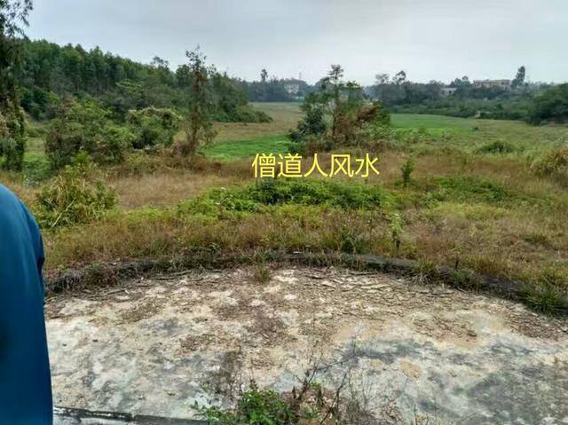 风水道人（来山起顶，顶上浑圆是正气）
