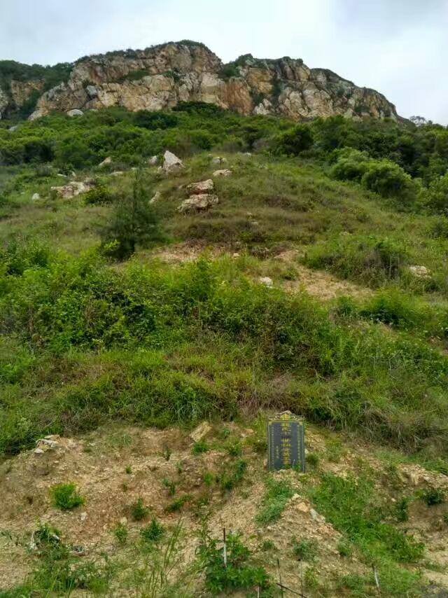 风水道人（来山起顶，顶上浑圆是正气）