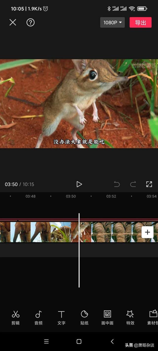 抖音发布视频如何赚收益（西瓜中视频计划怎么做）