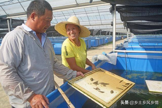 水蛭的养殖技术（水蛭的养殖技术）