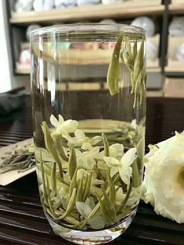 庭院花卉种植品种（最香的几种花卉植物）
